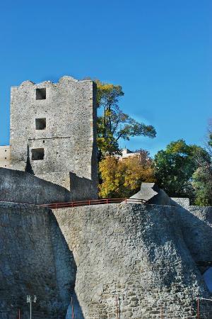Cetatea Medievală a Severinului