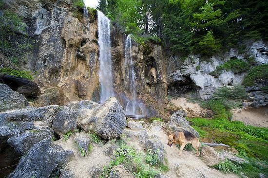 Cascada Pisoaia