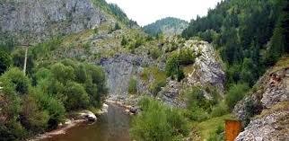 Cheile Gârdișoarei