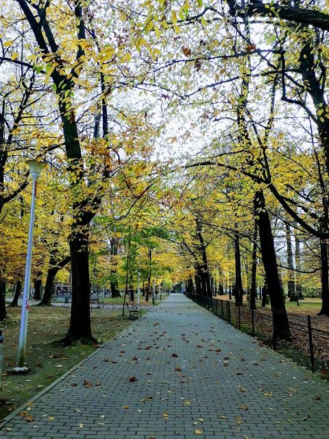 Parcul Municipal Regina Maria