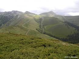 Bucșa