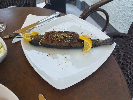 Restaurant Maestro