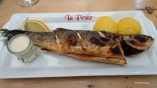 La Peste