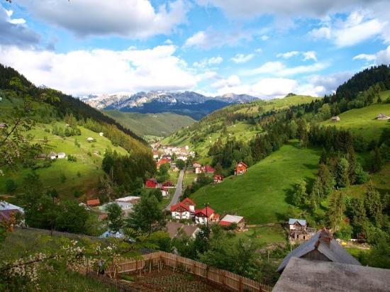 Moeciu de Sus - Day Tours
