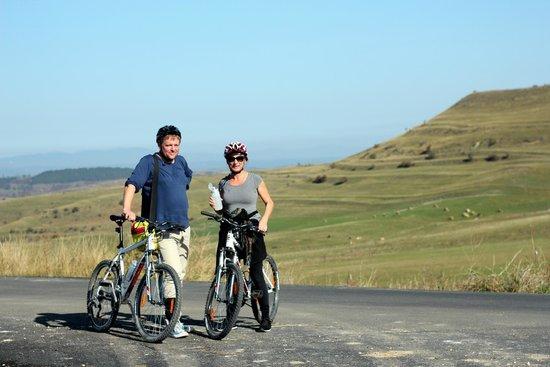 TransyBike - Day Tours