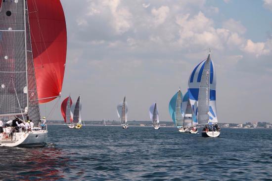 Mojo Sailing