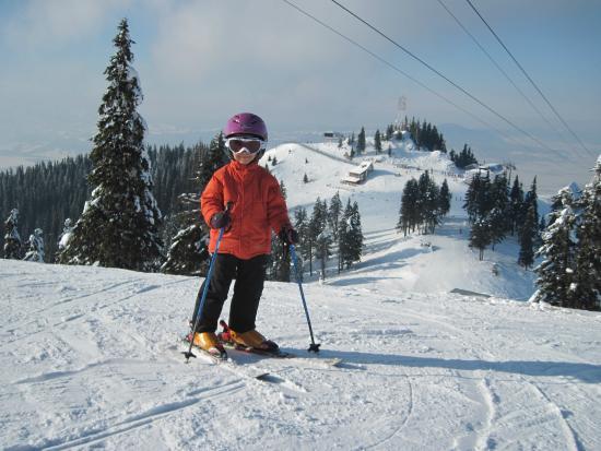 Monitor Ski