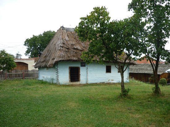 Muzeul Badea Cârțan