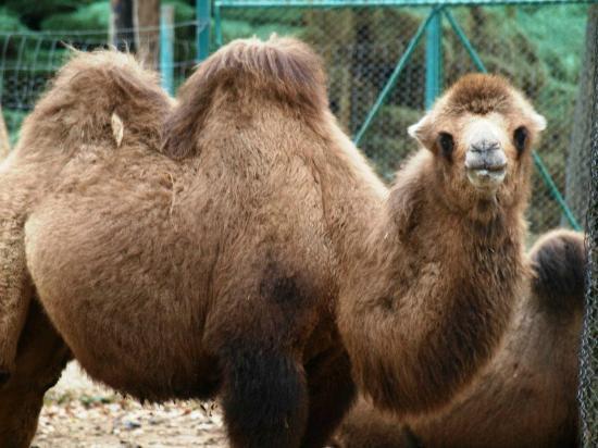 Grădină zoologică