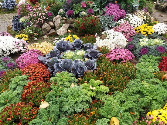 Grădina Botanică din Iași