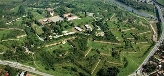 Cetatea Aradului