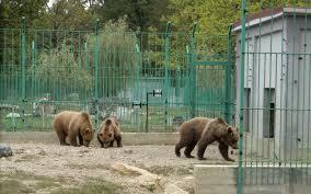 Grădina zoologică Piteşti