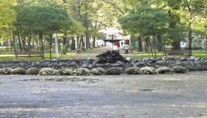 Gradina Publica