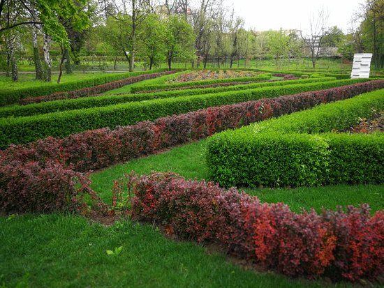 Grădina Botanică